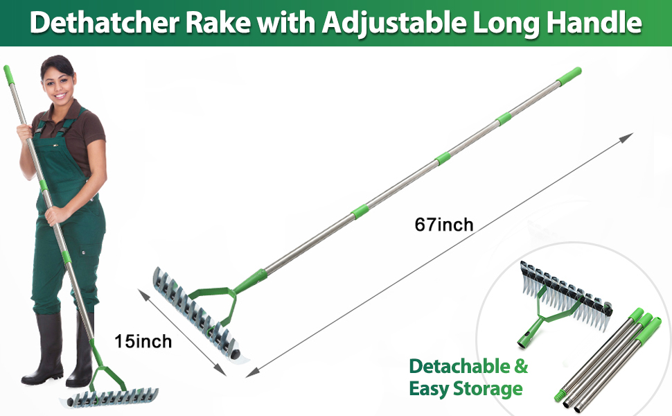 Thatch Rake, Garden Dethatcher Rakes for Lawns Heavy Duty, Metal Rake with Double