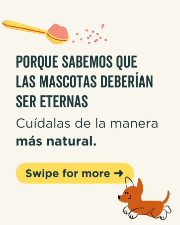 con texto en español sobre el cuidado de las mascotas, con ilustraciones de dibujos animados de una golosina para mascotas en forma de corazón y un perro pequeño