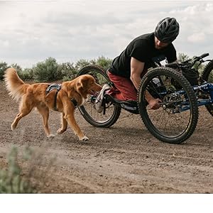 Amazon Ruffwear ラフウェア フラッグラインハーネス 日本正規品 Xxs Rdrk Ruffwear ラフウェア ペット用品 通販