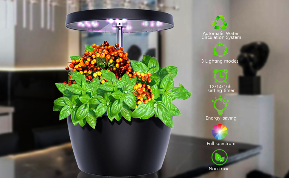 Hydroponische Anzuchtsysteme