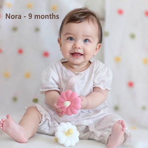 baby teether