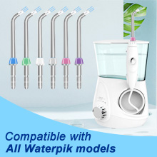 replacement heads water flosser