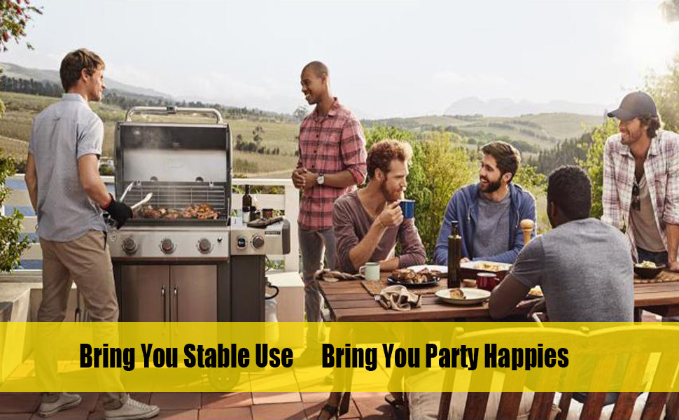 Moriintl 66032/66795 Grill Parts for er Genesis II E310, II S310, II E330, II