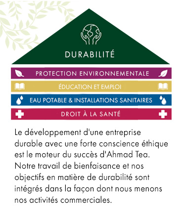 Ahmad Tea Brandstory
