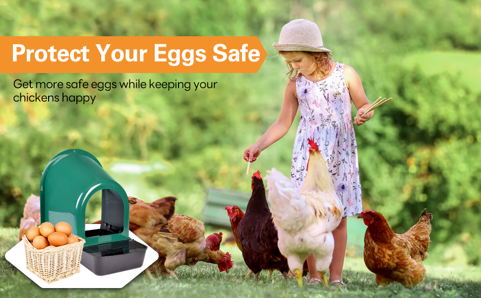 Tetuga Chicken Nesting Box, 5 Pack Chicken Nesting Boxes