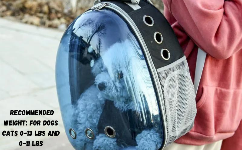 e9b74d08 b973 4043 a15f 5437a29ddeec. CR0,0,970,600 PT0 SX970 V1 Breathable Pet Carriers Bags for Travelling