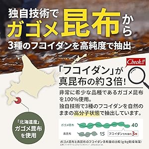 후코이단 fucoidan 보충제 보충제 비타민 건강 해초 건강 식품 건강 보충제 비타민 d 비타민 b6 비타민 b 군 피곤 30 대에서 보충제