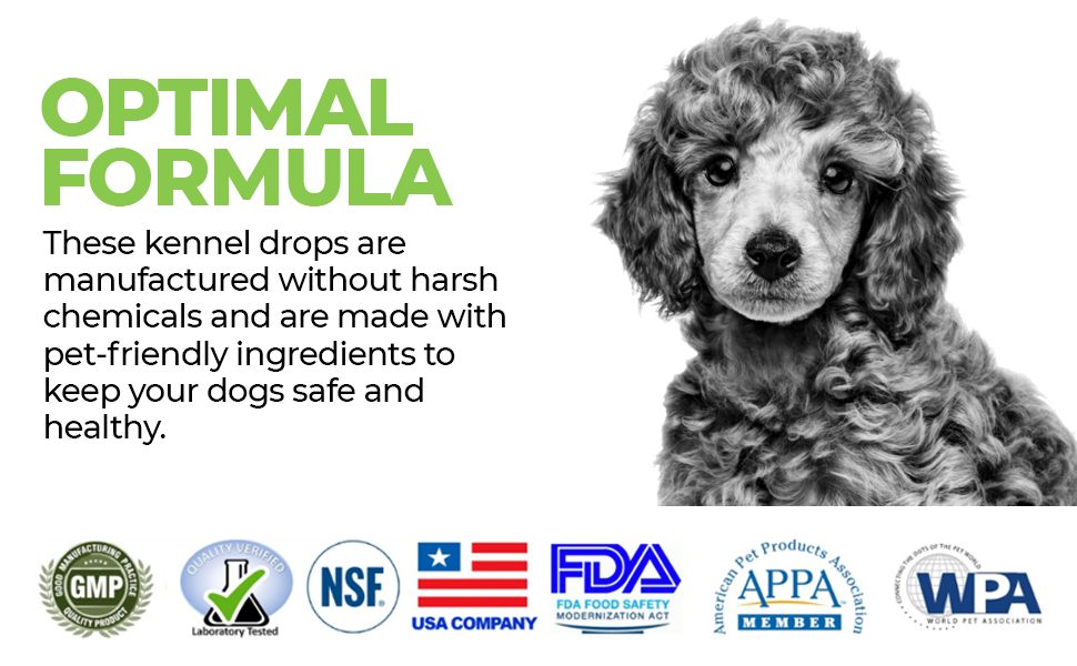 Vet Worthy Kennel Cough Drops for Dogs Dog Supplement for Dry Kennel Cough Relief