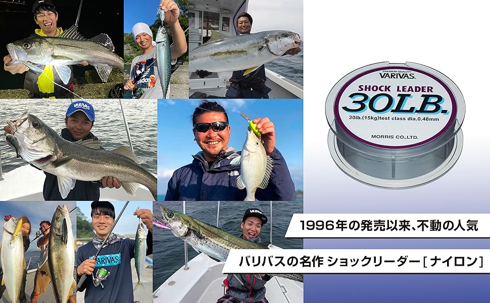 Amazon Varivas バリバス ショックリーダー ナイロン 50m 14号 50lb ミストグレー バリバス Varivas ハリス Amazon Varivas バリバス ショックリーダー ナイロン 50m 14号 50lb ミストグレー バリバス Varivas ハリス