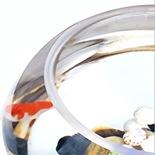 Aquarium Glass Fish Bowl 