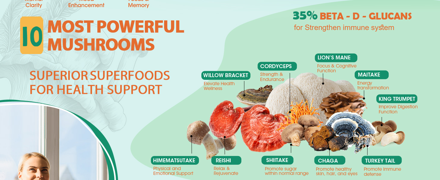 mushroom supplement
