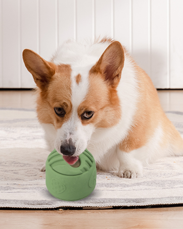 Dog Slow Feeder Toy
