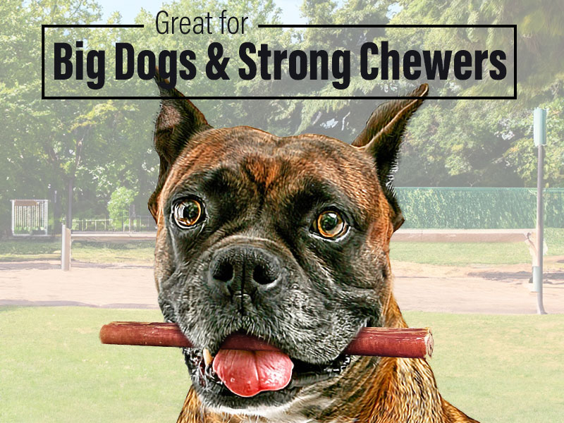 Large manufacture image 4