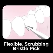 Dentek Complete Clean Easy Reach Floss Picks