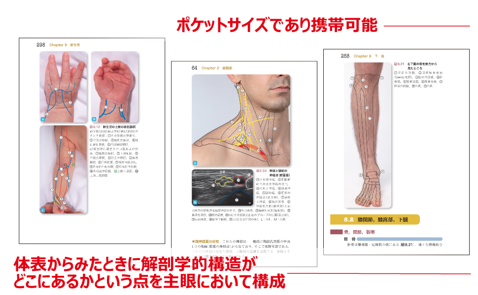 岡嶋解剖学 岡嶋解剖学 - 杏林書院