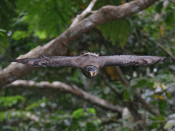 XF150-600mm