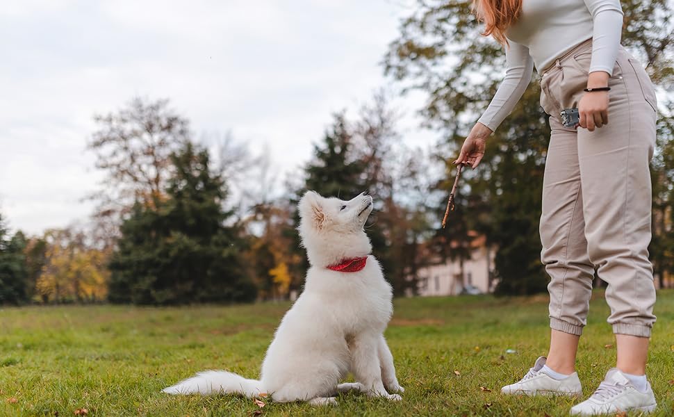 Zlolen Dog Barking Control Devices 2023 Enhanced 40FT Deterrent Anti