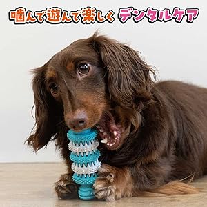 Amazon.co.jp: ドギーマン ハミガキおもちゃ カムデント ボーン