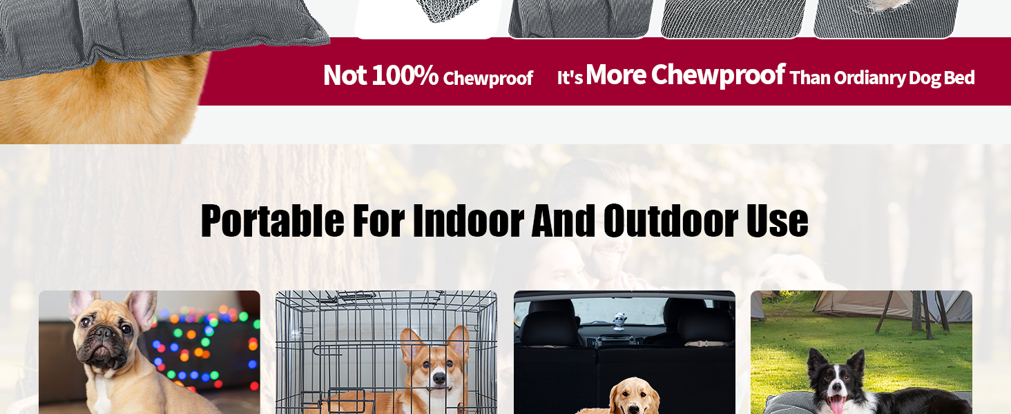 HOMBYS Chew Proof Dog Bed for Aggressive Chewers & Crazy Diggers  
Indestructible and Durable Dog Crate Bed, Water Resis E9f3006a Fa2a 4d8d A548 7fdc34341198. CR0,0,1464,600 PT0 SX1464 V1
