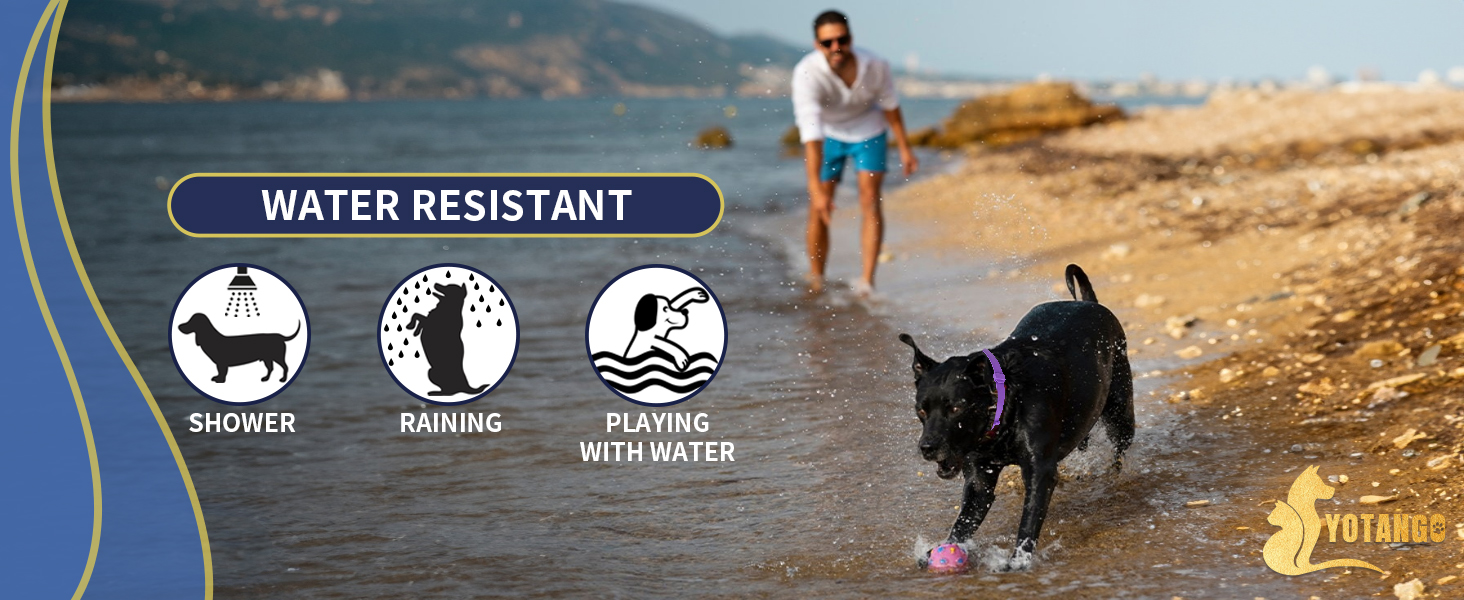 flea collar for dogs