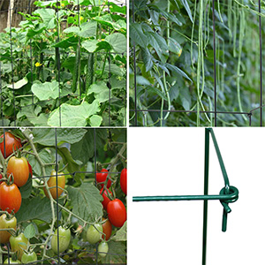 Tomato Cages for Garden