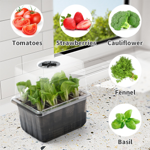 Self-Watering Seed Starter Tray