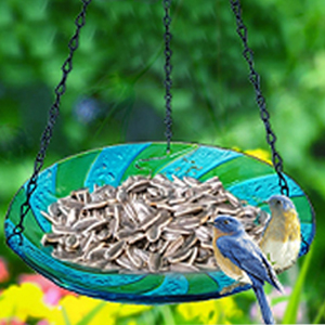 11 Inch Hanging Bird Feeder Outdoor