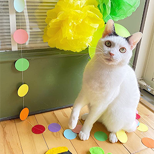 Small manufacture image 2