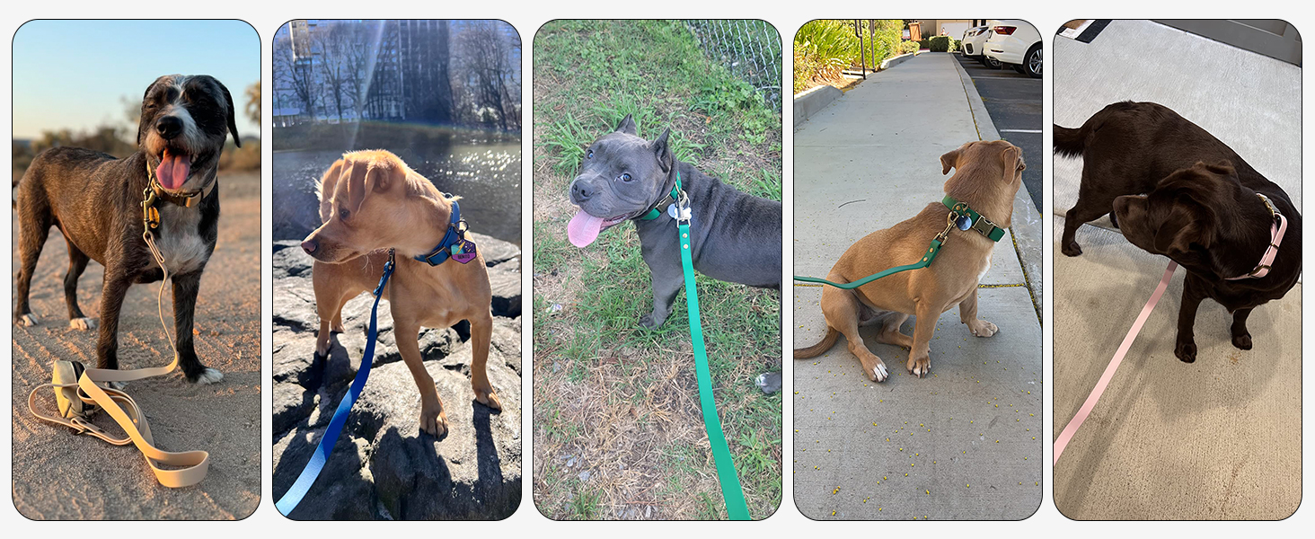 Large manufacture image 5