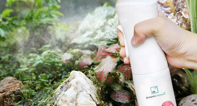 setups and tank decor, dynamic element, gecko smell remover