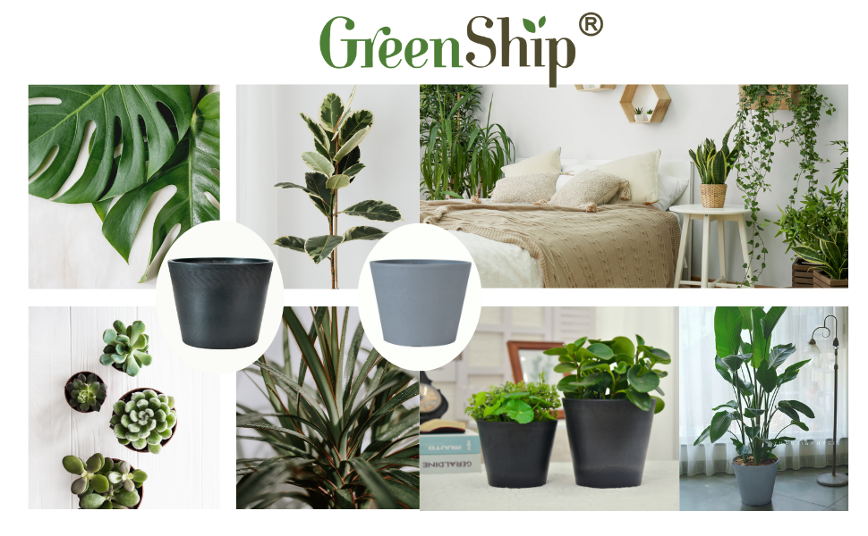 Amazon | GreenShip 多用途 植木鉢 大型 10号 マットな質感