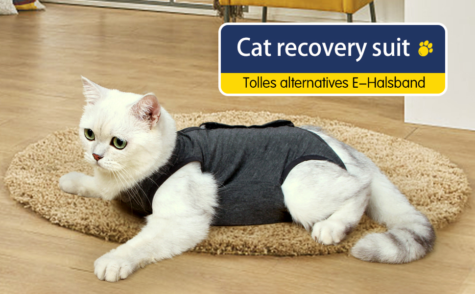 Lianzimau Cat Recovery Suit With Avoid Licking For Surgical Abdominal Wounds Soft Breathable Home Indoor Pet Clothing E Collar Alternative For Cats Dogs After Surgery Wear Pajama Suit Amazon Co Uk Pet Supplies Lianzimau Cat Recovery Suit With Avoid Licking For Surgical Abdominal Wounds Soft Breathable Home Indoor Pet Clothing E Collar Alternative For Cats Dogs After Surgery Wear Pajama Suit Amazon Co Uk Pet Supplies