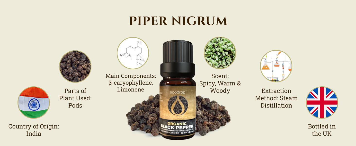 Rosemary Essential Oil Cosmos Certified Organic 100% Pure Spanish Therapeutic Grade for Aromatherapy