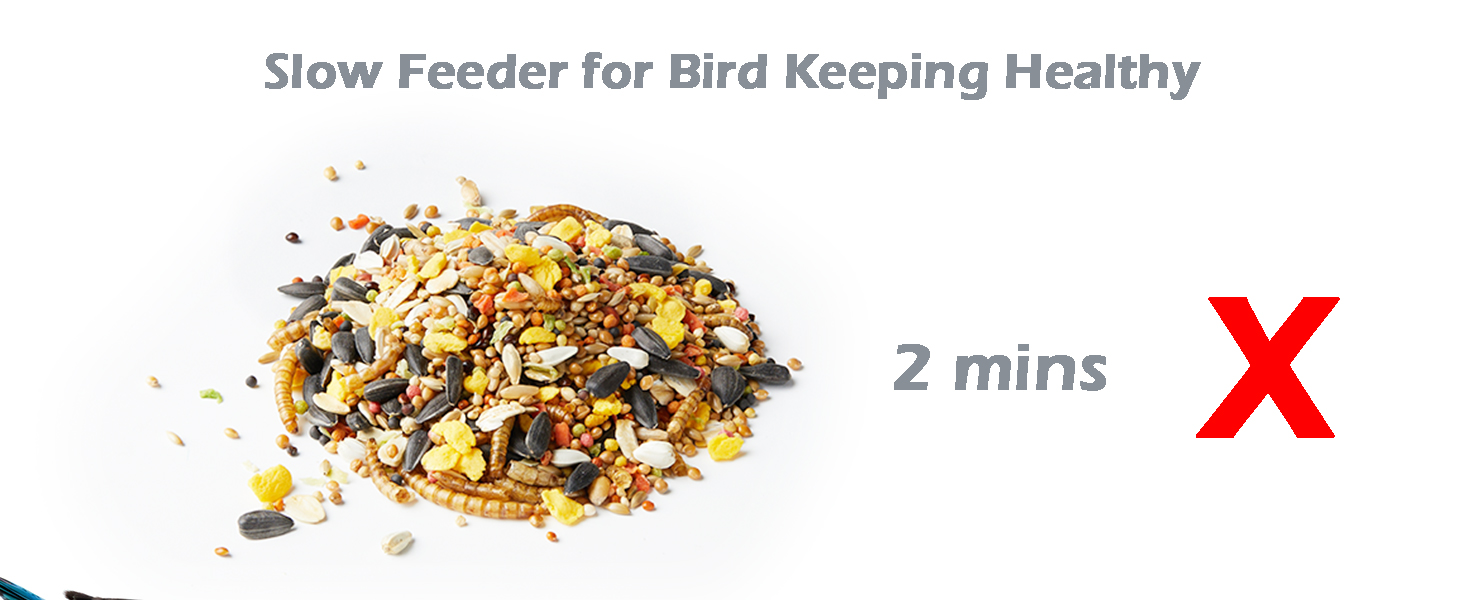 bird slow feeder mats
