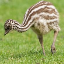 Small manufacture image 6