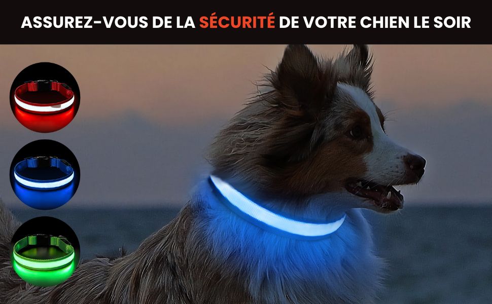 Collier lumineux pour chien, collier luminescent led avec brigue