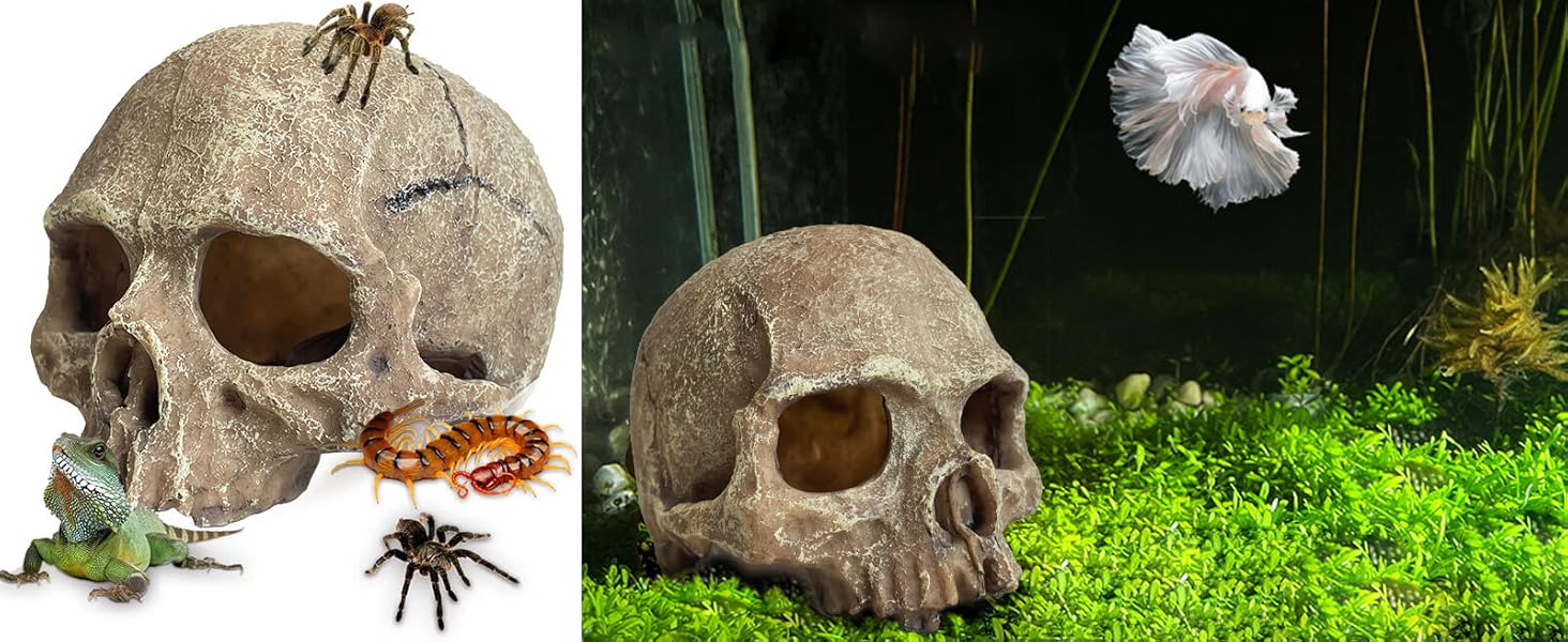 fish tank decorations for 10 gallon tank spongebo