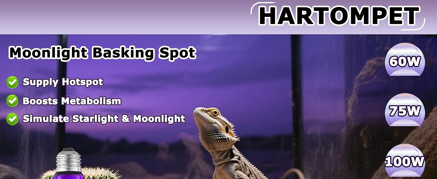 HARTOMPET Infrared Red Heat Lamp R63