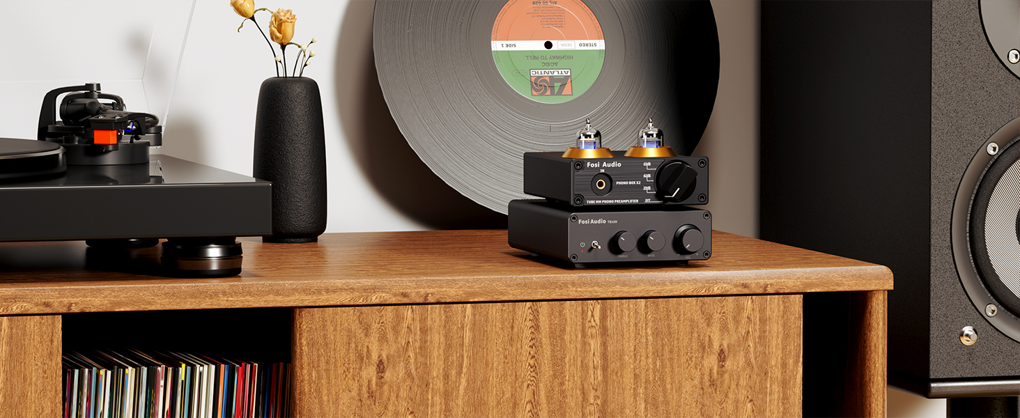 Mini Amplificador de Potencia HiFi