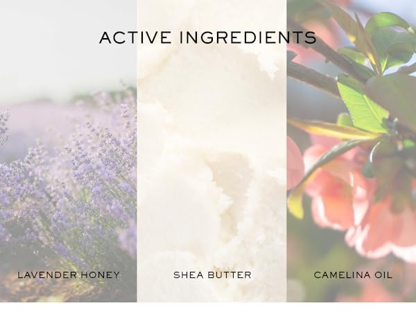 Rêve de Miel Honey Lip Balm 