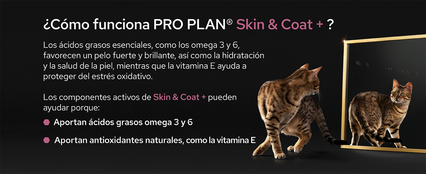+suplementos para mascotas +alimento complementario +perro +gato