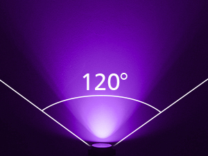 lights