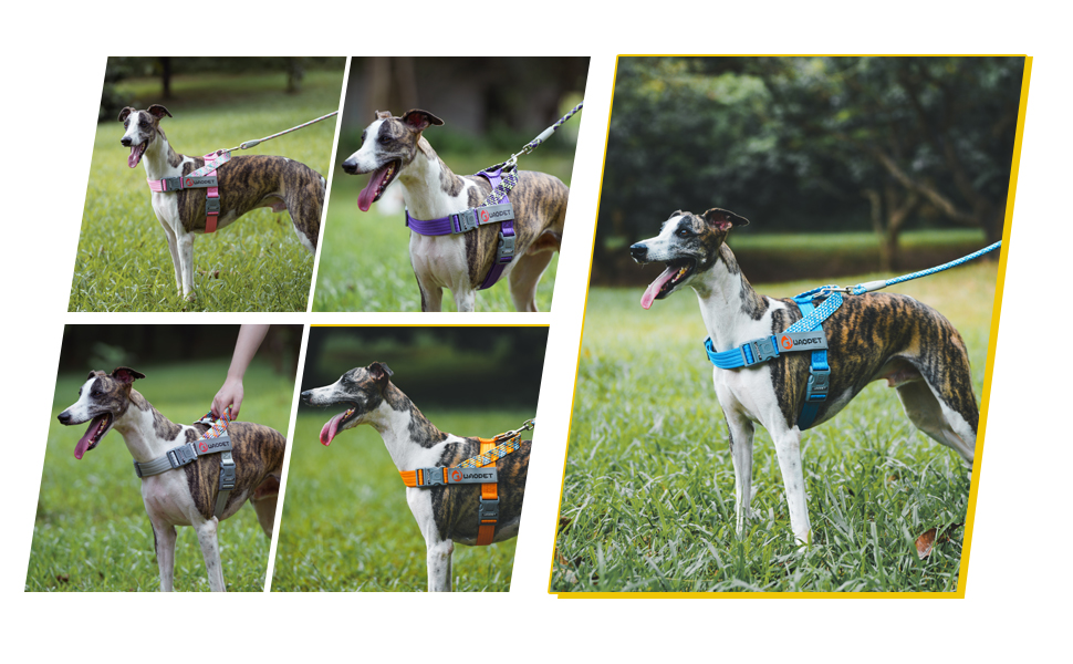 Dihapet Dog Harness Service Dog Vest No Pull Service Dog