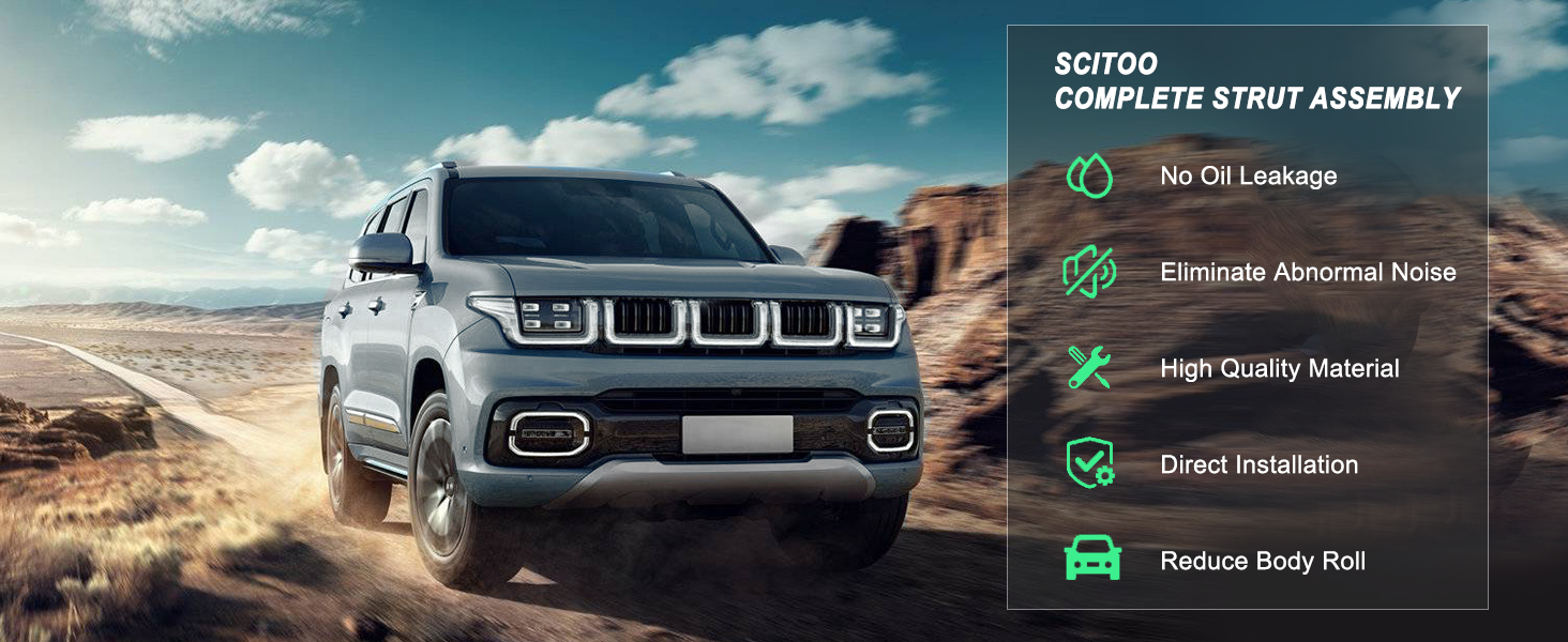 Complete Struts Assembly