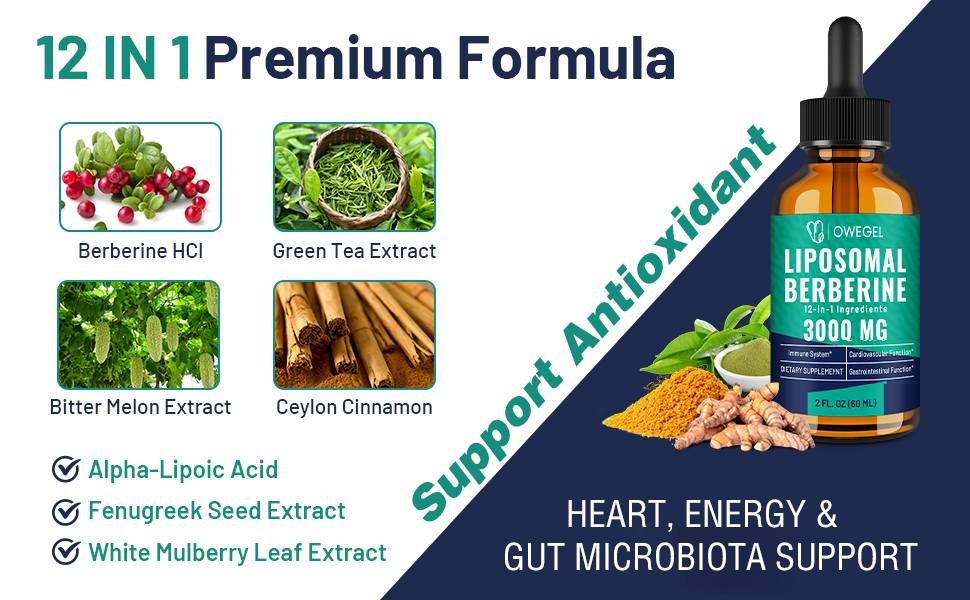 berberine supplement