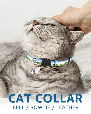 pet collar