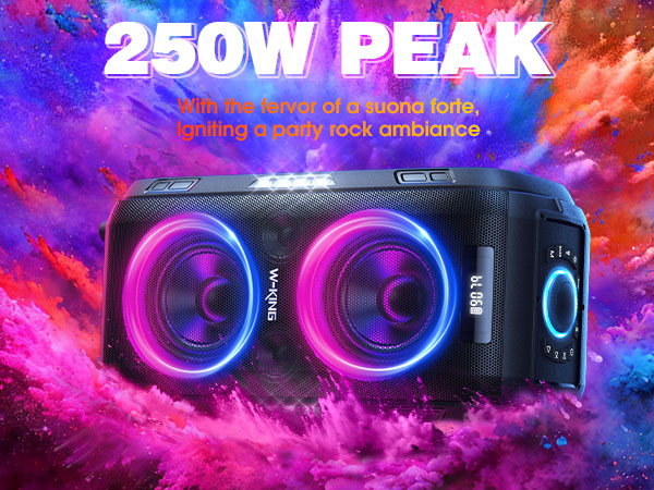 large speaker