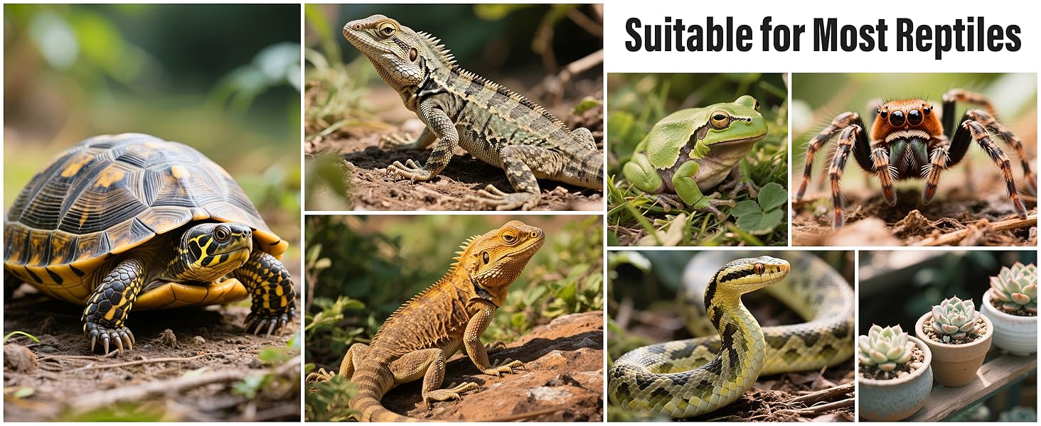 UVA UVB Reptile Light