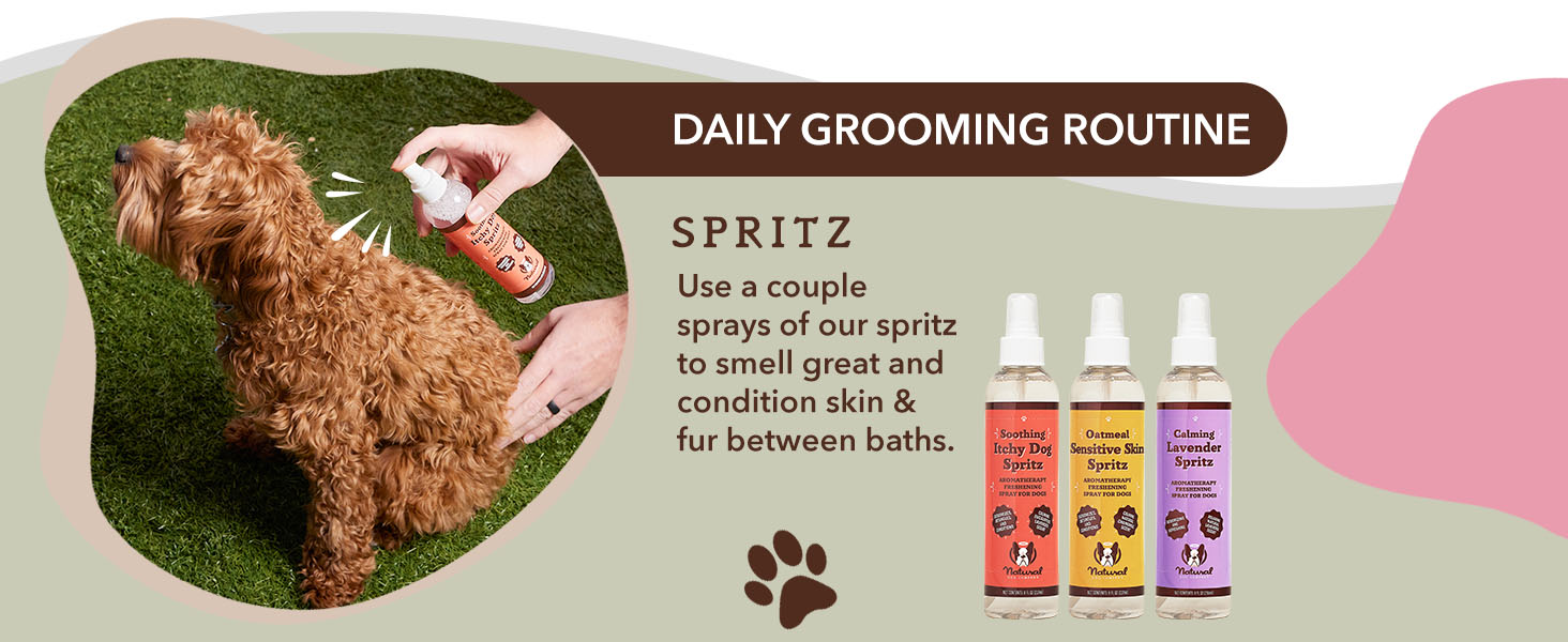 heal dog paws canine paw protection canine paw soother remedy for cracked canine paw pads