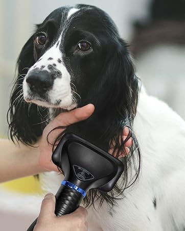 2 in 1 Pet Hairdryer hot air brush and slicker grooming brush